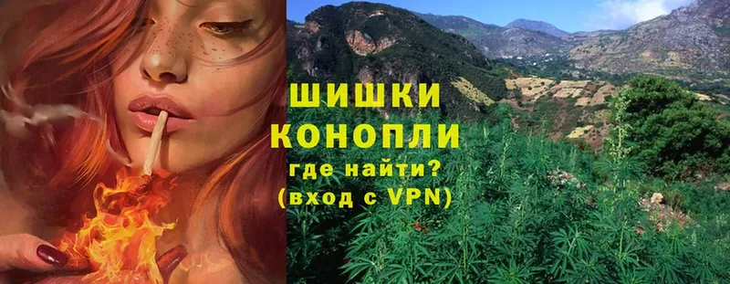 Виды наркотиков купить Бийск Марихуана  A PVP  Cocaine  Гашиш  Мефедрон 